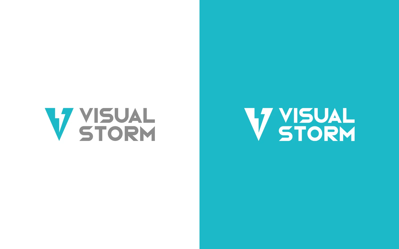 The Visual Storm logo is split into two versions one shown in colour on a white background, and the other is white on a blue background