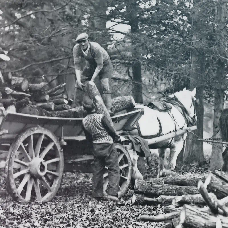 A black and white still from Emsworth Museum’s promotional video showing a man standing on a horse and cart full of logs, in a forest, passing a log down to another man