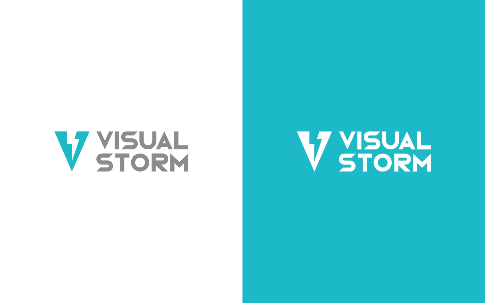 The Visual Storm logo is split into two versions one shown in colour on a white background, and the other is white on a blue background